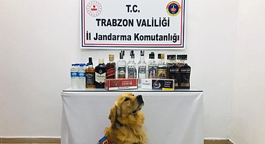 TRABZON JANDARMA 9 AYLIK OPERASYON SAYISI DUDAK UÇUKLATTI