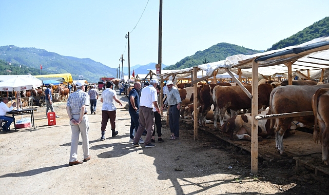 ORTAHİSAR BELEDİYESİ KURBAN ETLERİNİ İHTİYAÇ SAHİPLERİNE ULAŞTIRACAK