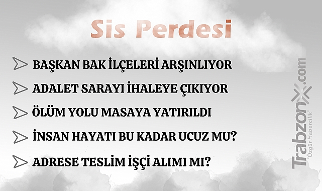 29.01.2026 SİS PERDESİ