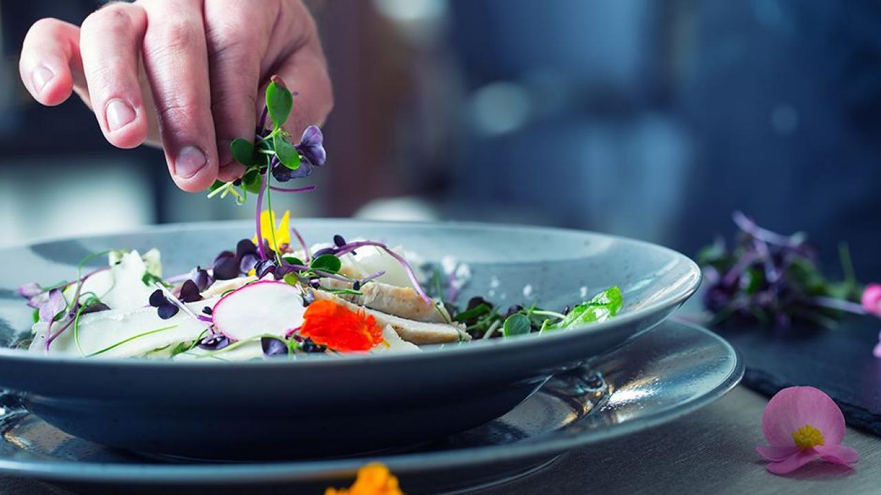 GASTRONOMİ DÜNYASI TRABZON'DA BULUŞUYOR