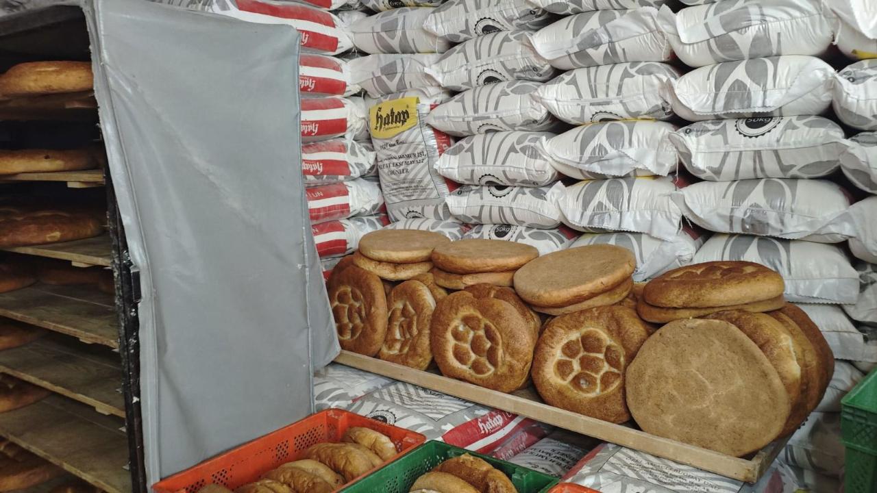 Otomatik Taslak