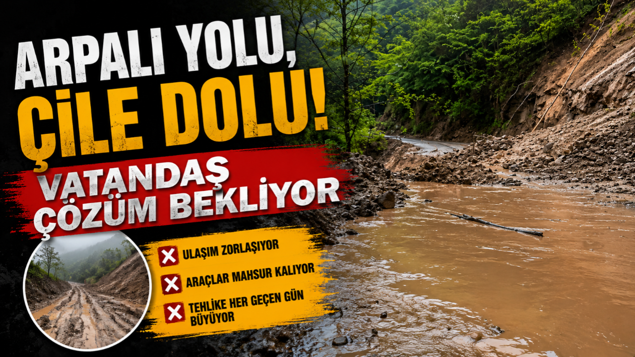 ARPALI YOLU, ÇİLE DOLU! VATANDAŞ ÇÖZÜM BEKLİYOR!