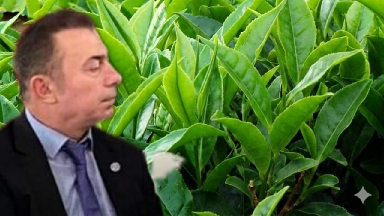 BAYRAK'TAN YAŞ ÇAY TEPKİSİ: DESTEKLEME YALAN OLDU!