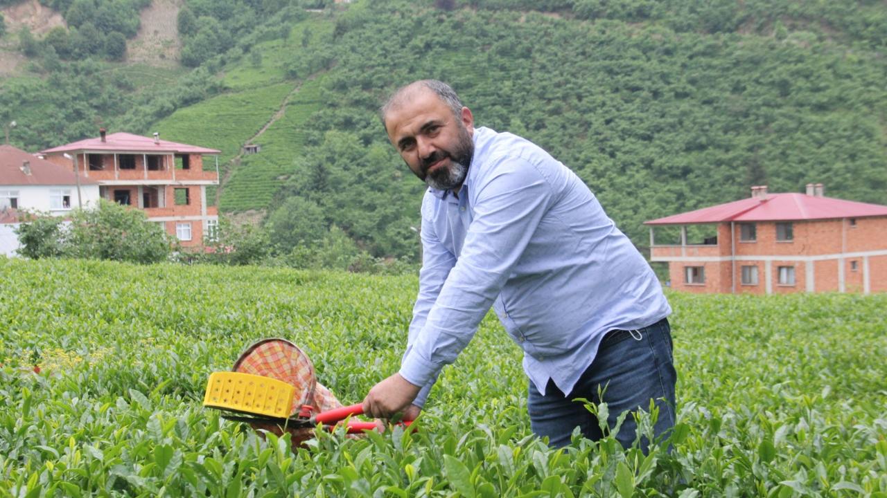 ÇAKIROĞLU: ÇAY SEKTÖRÜNDE İSTİKRAR İÇİN DENETİM ŞART