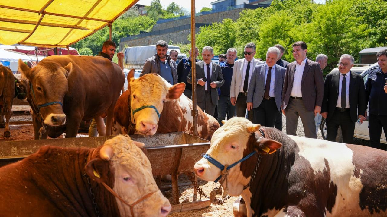 ORTAHİSAR, KURBAN BAYRAMINA HAZIR