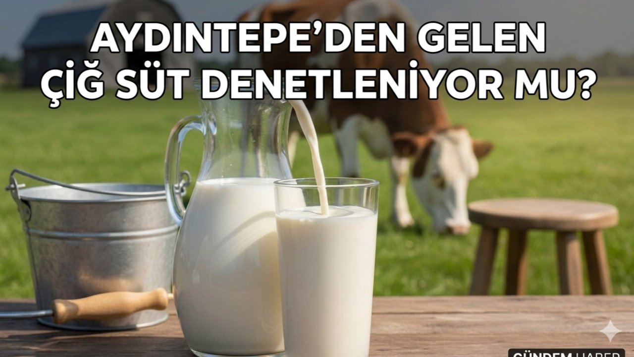 AYDINTEPE'DEN GELEN ÇİĞ SÜT DENETLENİYOR MU?