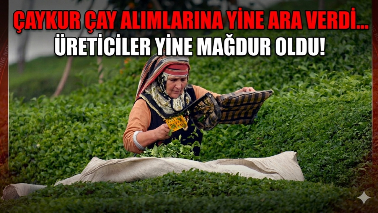 ÇAYKUR ÇAY ALIMLARINA YİNE ARA VERDİ!