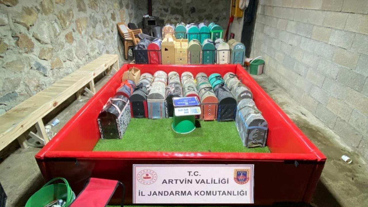 HOROZ DÖVÜŞTÜRENLERE AĞİR FATURA!