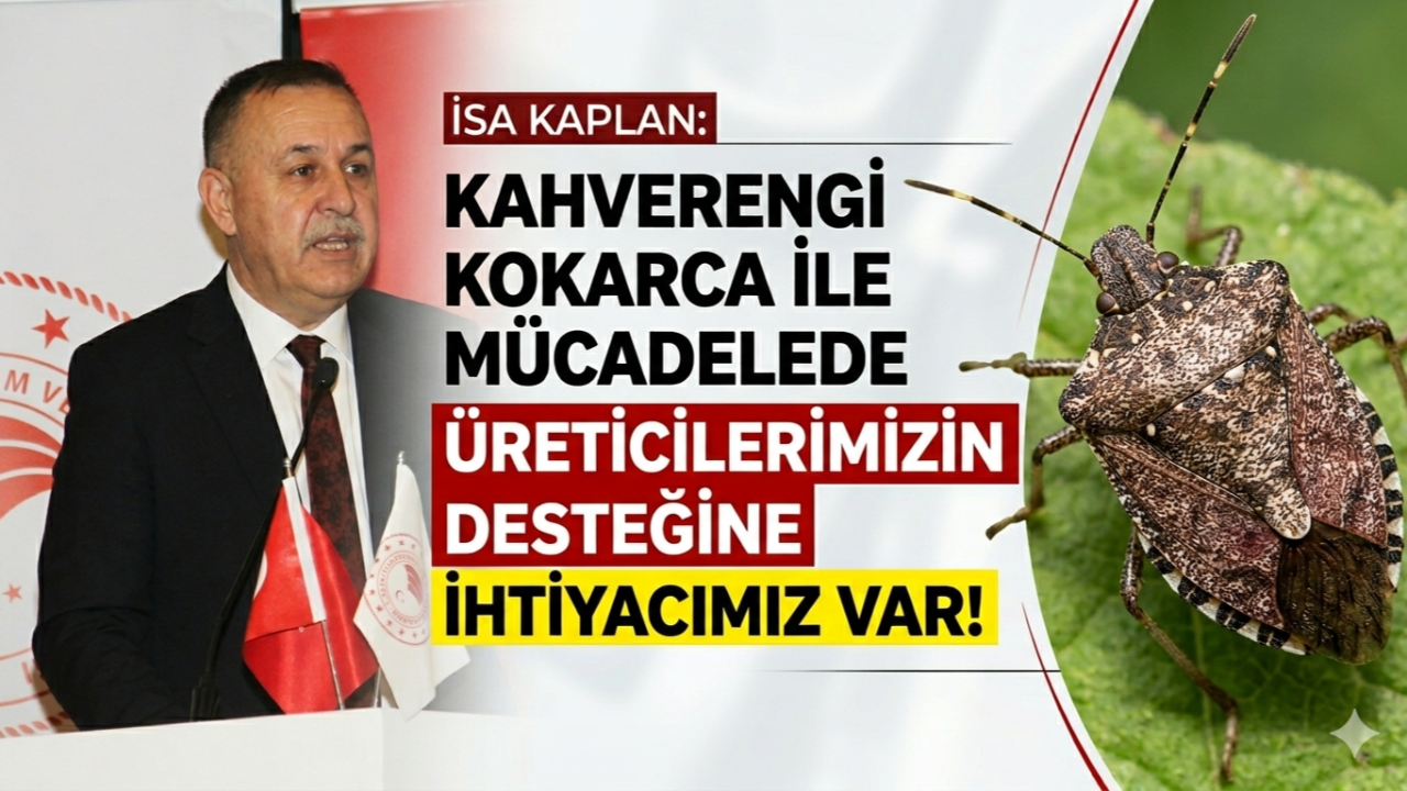 İSA KAPLAN: KAHVERENGİ KOKARCA İLE MÜCADELEDE ÜRETİCİLERİMİZİN DESTEĞİNE İHTİYACIMIZ VAR!
