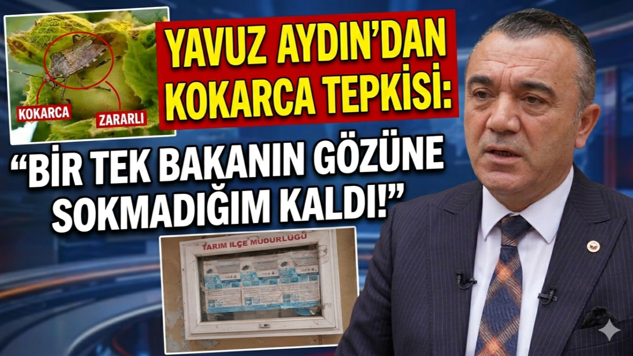 YAVUZ AYDIN'DAN KOKARCA TEPKİSİ: BİR TEK BAKANIN GÖZÜNE SOKMADIĞIM KALDI!