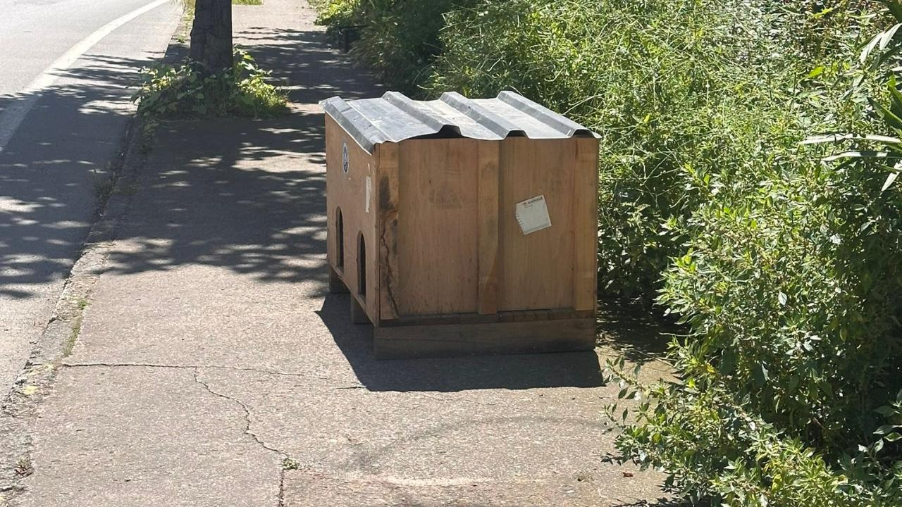 YAYA KALDIRIMINDA YUVA OLUR MU?